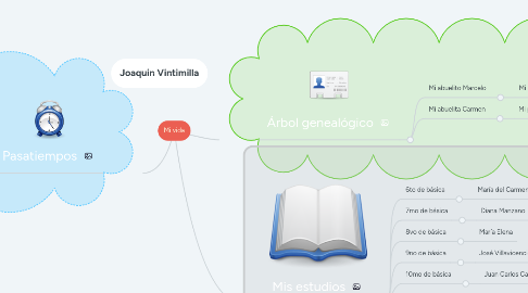 Mind Map: Mi vida