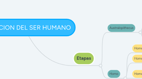 Mind Map: EVOLUCION DEL SER HUMANO