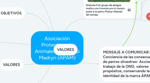 Mind Map: Asociación Protectora de Animales de Puerto Madryn (APAM)