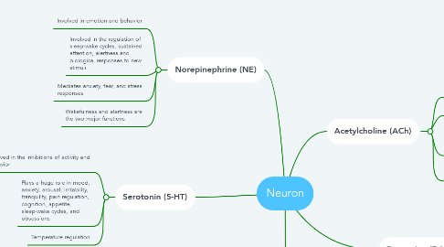 Mind Map: Neuron