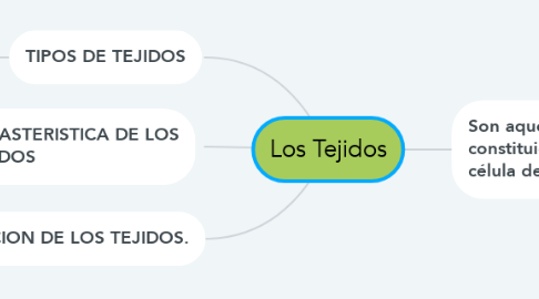 Mind Map: Los Tejidos