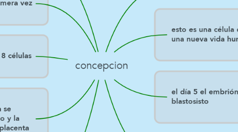 Mind Map: concepcion