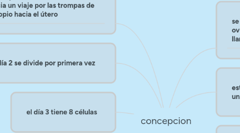 Mind Map: concepcion