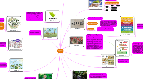 Mind Map: BIOLOGY 112