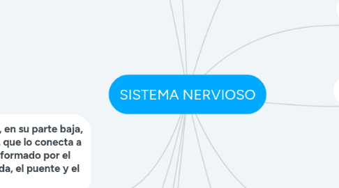 Mind Map: SISTEMA NERVIOSO