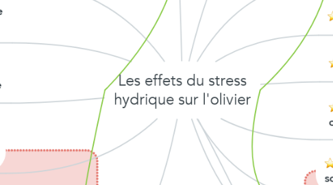 Mind Map: Les effets du stress hydrique sur l'olivier