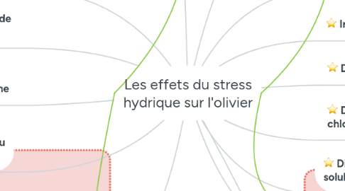 Mind Map: Les effets du stress hydrique sur l'olivier