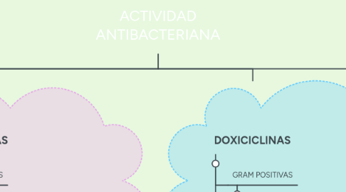 Mind Map: ACTIVIDAD ANTIBACTERIANA