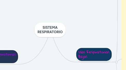 Mind Map: SISTEMA RESPIRATORIO