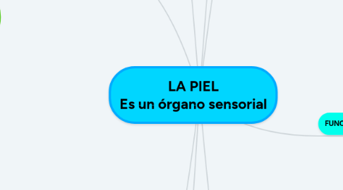 Mind Map: LA PIEL Es un órgano sensorial