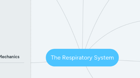 Mind Map: The Respiratory System