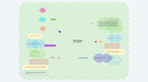 Mind Map: Anairam Alondra Rios Velázquez