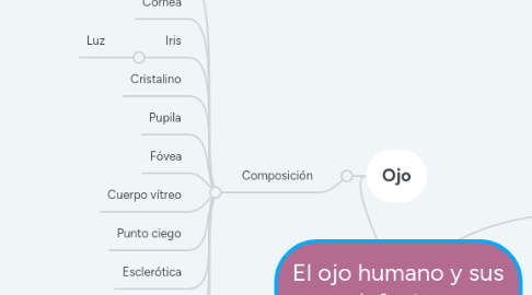 Mind Map: El ojo humano y sus defectos