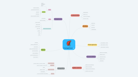 Mind Map: Fisiología Renal