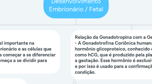 Mind Map: Desenvolvimento Embrionário / Fetal