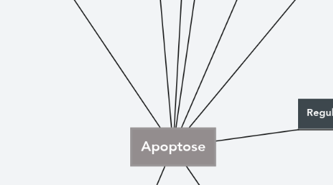 Mind Map: Apoptose
