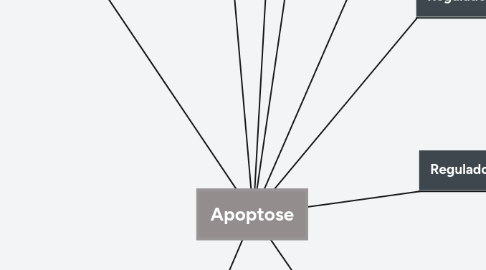 Mind Map: Apoptose