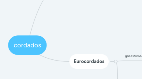 Mind Map: cordados