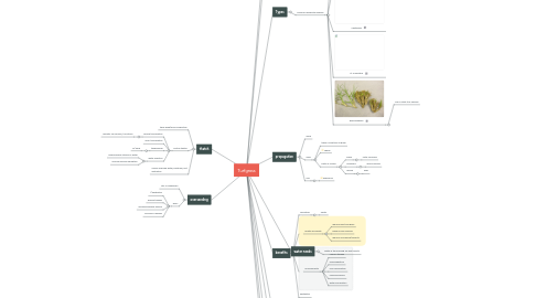Mind Map: Turfgrass