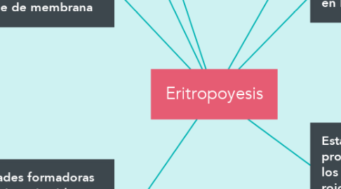 Mind Map: Eritropoyesis