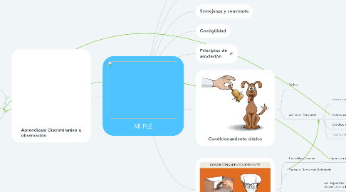 Mind Map: MI PLE