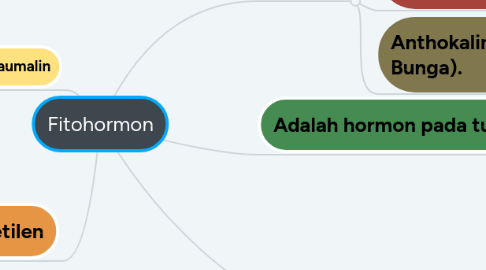 Mind Map: Fitohormon