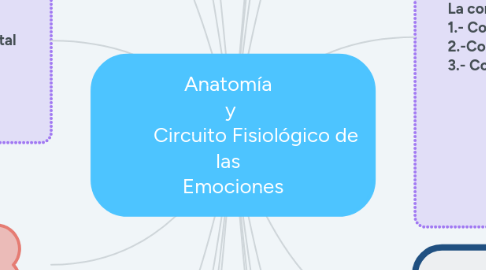 Mind Map: Anatomía y Circuito Fisiológico de las Emociones