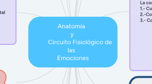 Mind Map: Anatomía   y           Circuito Fisiológico de las   Emociones