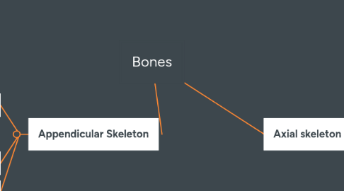 Mind Map: Bones