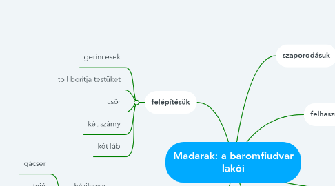 Mind Map: Madarak: a baromfiudvar lakói