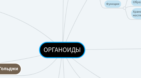 Mind Map: ОРГАНОИДЫ