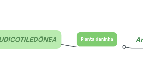 Mind Map: EUDICOTILEDÔNEA