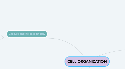 Mind Map: CELL ORGANIZATION