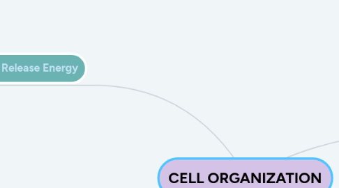 Mind Map: CELL ORGANIZATION