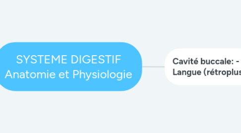 Mind Map: SYSTEME DIGESTIF Anatomie et Physiologie