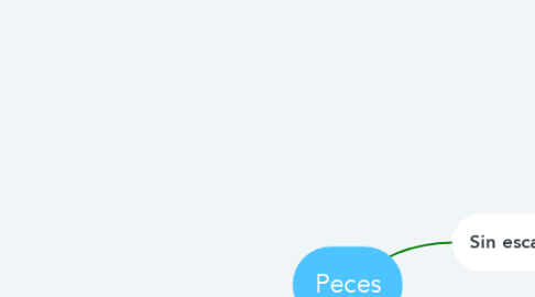 Mind Map: Peces