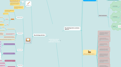Mind Map: NEUROFISIOLOGIA DE LAS CONDUCTAS AGRESIVAS Y EL DOLOR