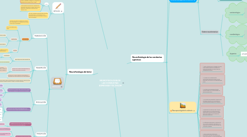 Mind Map: NEUROFISIOLOGIA DE  LAS CONDUCTAS  AGRESIVAS Y EL DOLOR