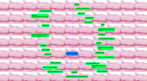 Mind Map: Tecido Epitelial