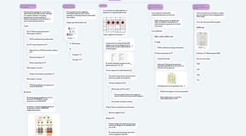 Mind Map: Genética Mendeliana