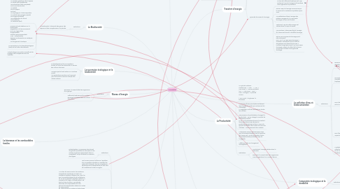Mind Map: La Durabilité