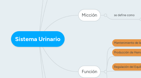 Mind Map: Sistema Urinario