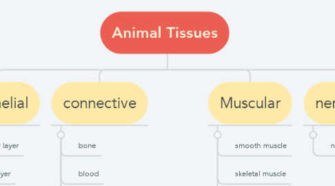 Mind Map: Animal Tissues