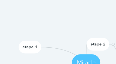 Mind Map: Miracle