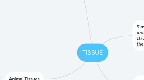 Mind Map: TISSUE