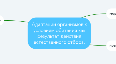 Mind Map: Адаптации организмов к условиям обитания как результат действия естественного отбора.