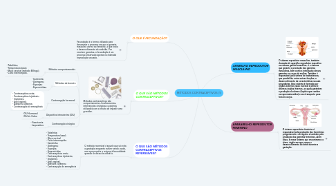 Mind Map: MÉTODOS CONTRACEPTIVOS (1)