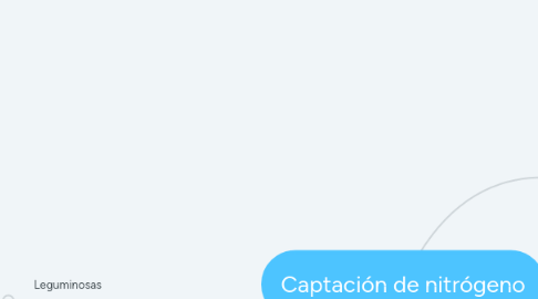 Mind Map: Captación de nitrógeno