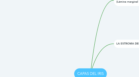 Mind Map: CAPAS DEL IRIS
