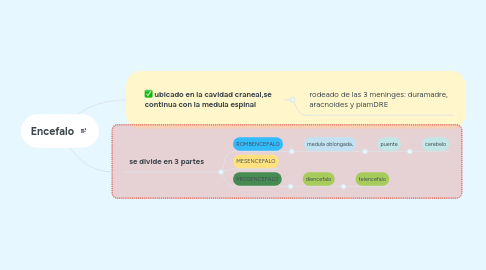 Mind Map: Encefalo